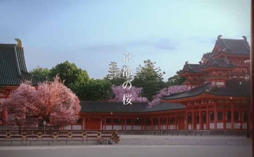 Take JR Tokai to Kyoto’s Cherry Blossoms